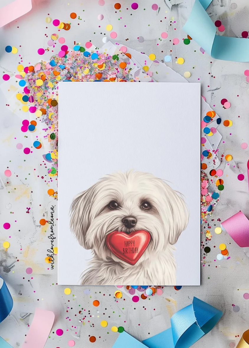 Havanese Birthday With Love Card