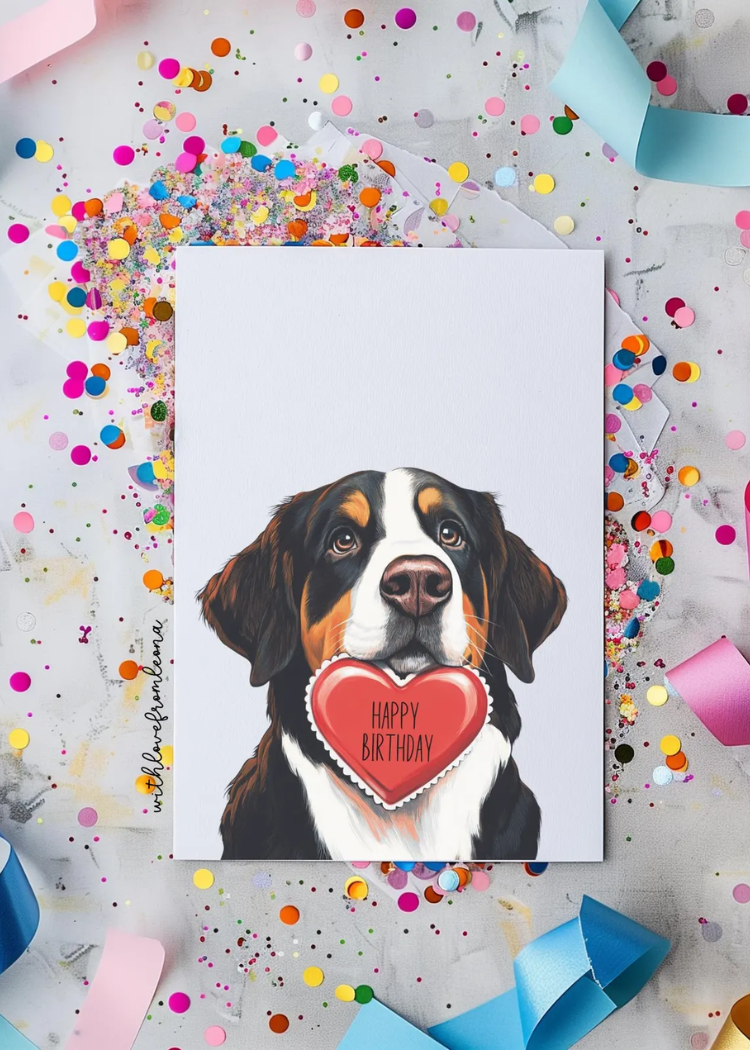 Greater Swiss Mountain Dog Birthday With Love Card