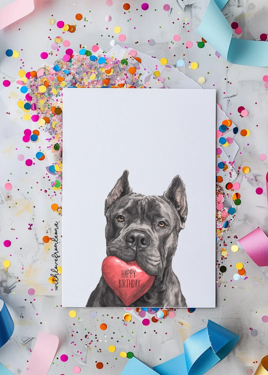 Cane Corso Birthday With Love Card