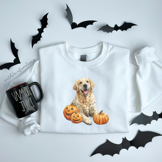 Golden Retriever Halloween Sweatshirt