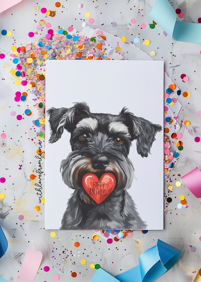 Miniature Schnauzer Birthday With Love Card