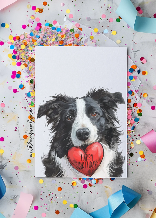Border Collie Birthday With Love Card