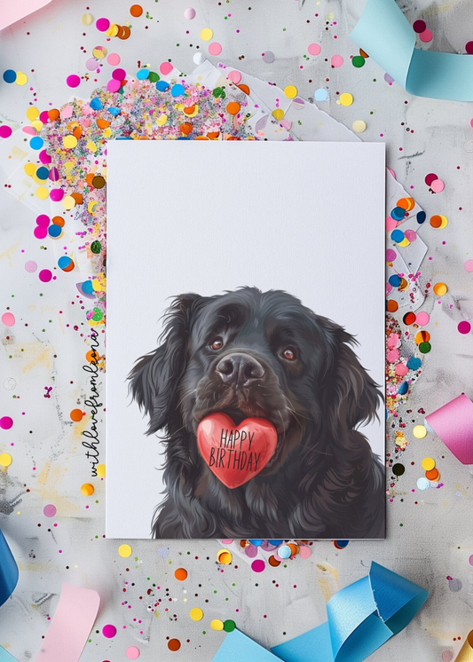 Newfoundland Birthday With Love Card